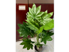 Esta es una planta artificial del tipo