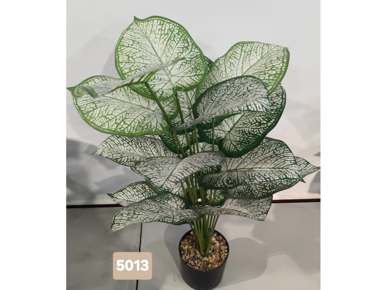 Hoja de elefante