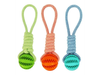 Juguete para la dentición de mascotas, cuerda, pelota, mascota
