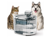 Dispensador Agua Automático Para Perros Gatos