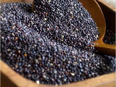 QUINOA NEGRA