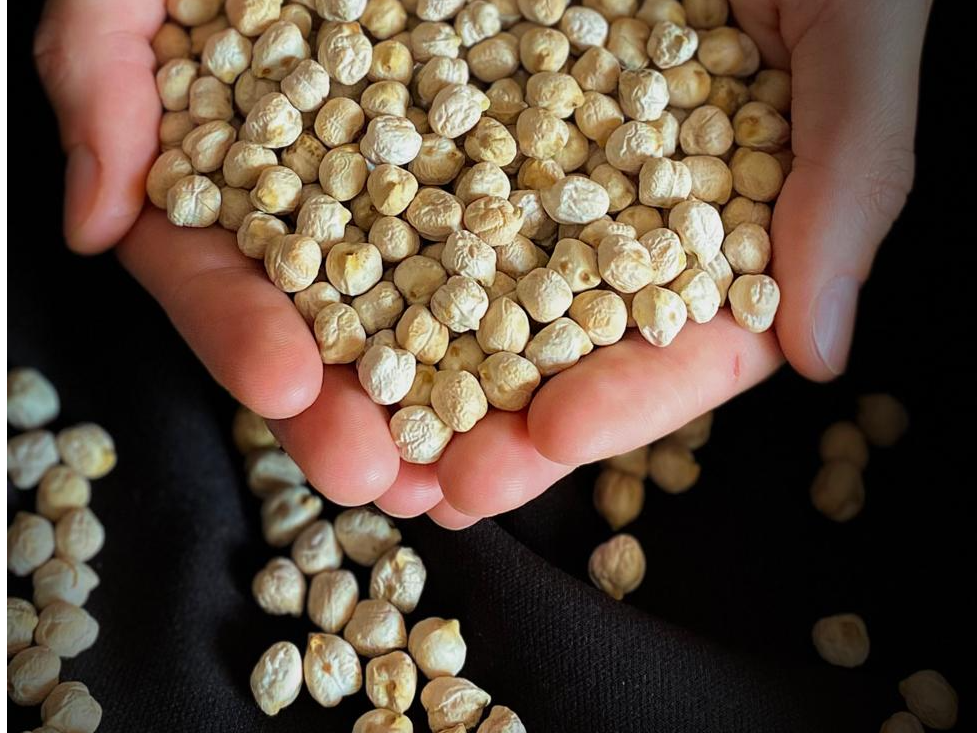 GARBANZOS