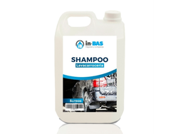 SHAMPOO LAVACARRO (5 litros)