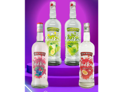 X12 UNID NEW STYLE SURTIDO/IGUALES