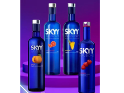X12 UNID SKYY SURTIDO O IGUALES