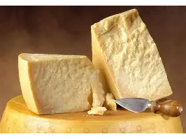 Queso Parmesano SILVIA X 100gr