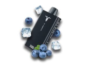 BLUEBERRY ICE