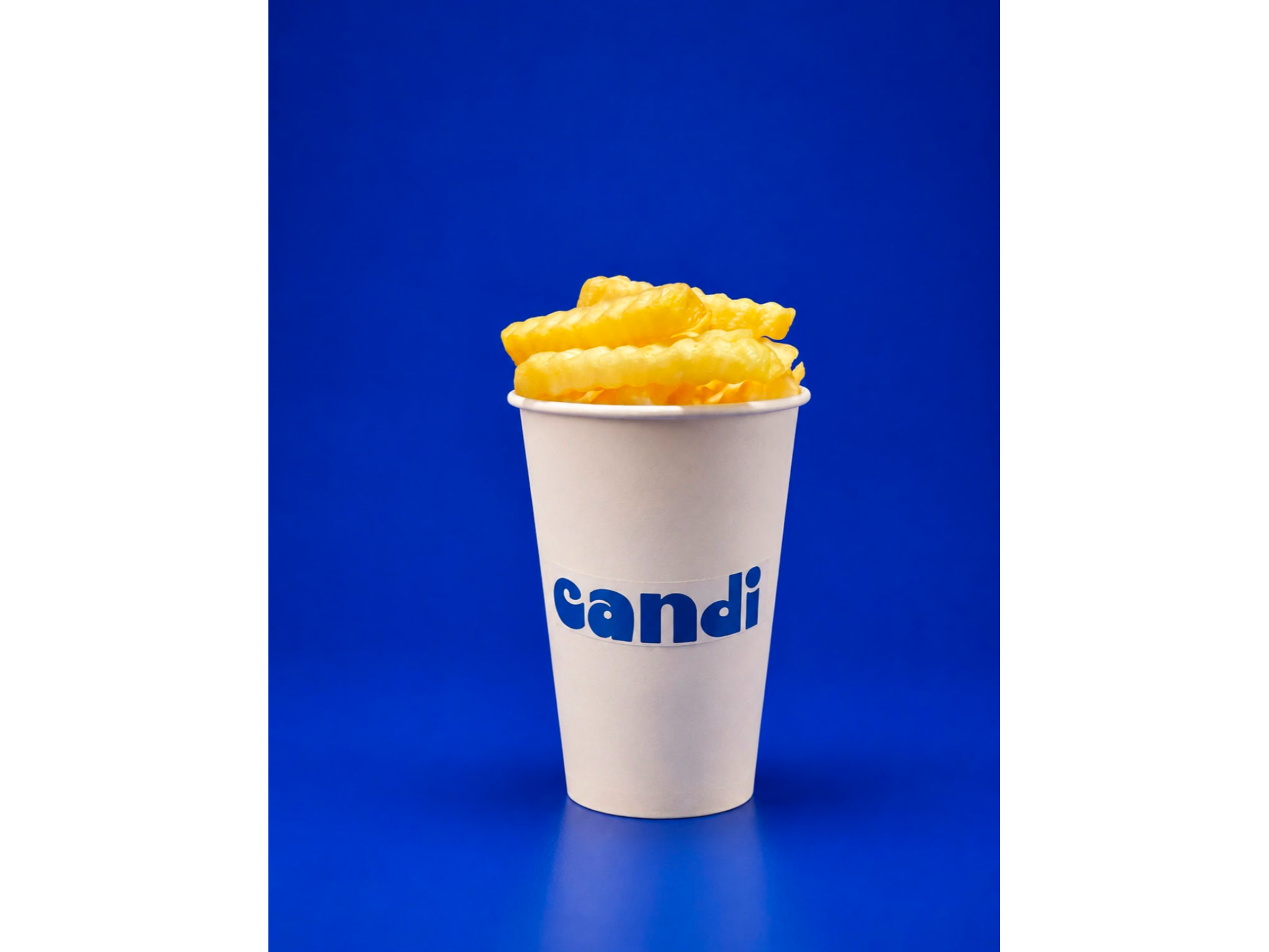 PAPAS FRITAS
