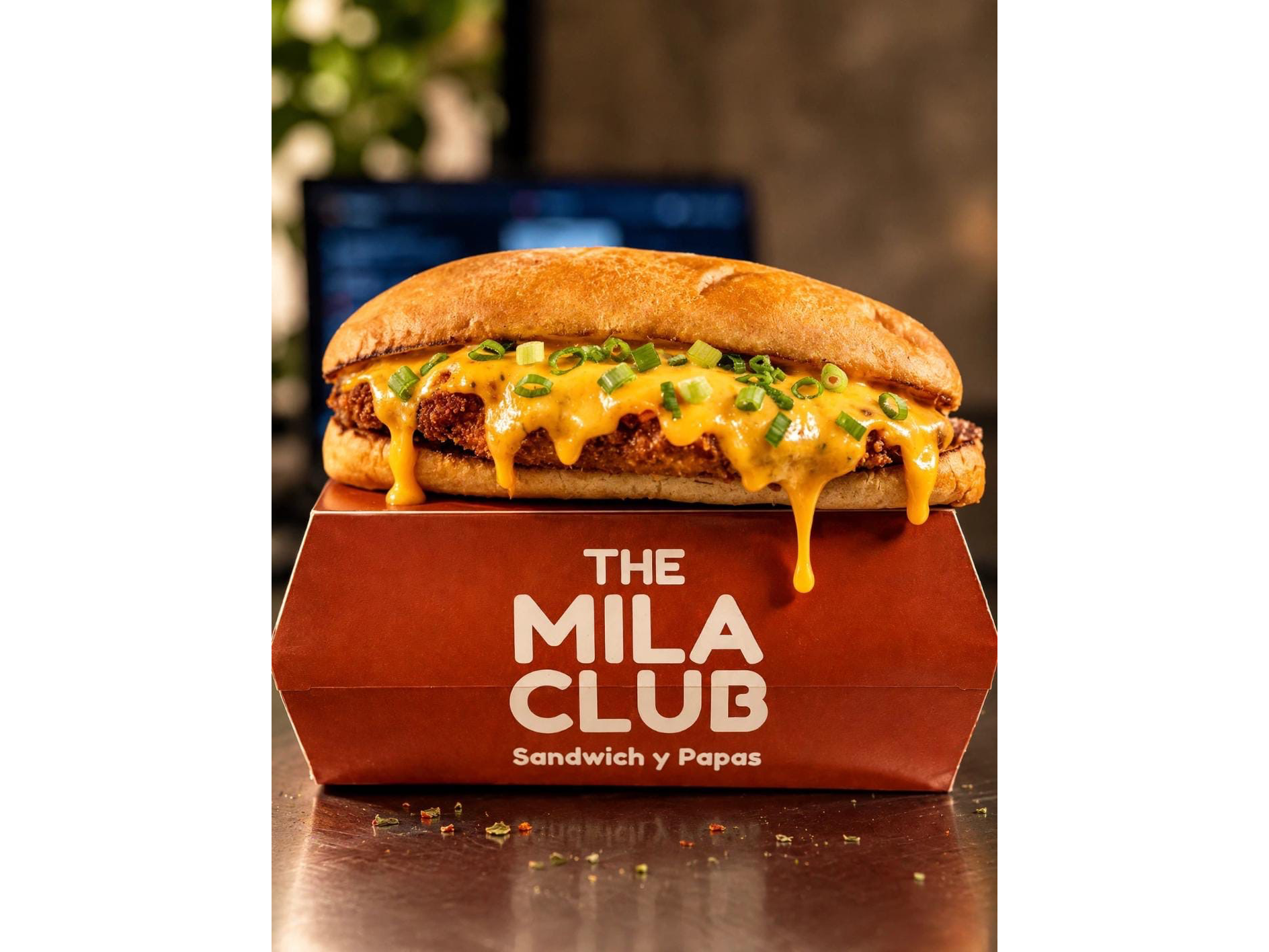Sandwich de Pollo Cheese y Bacon.