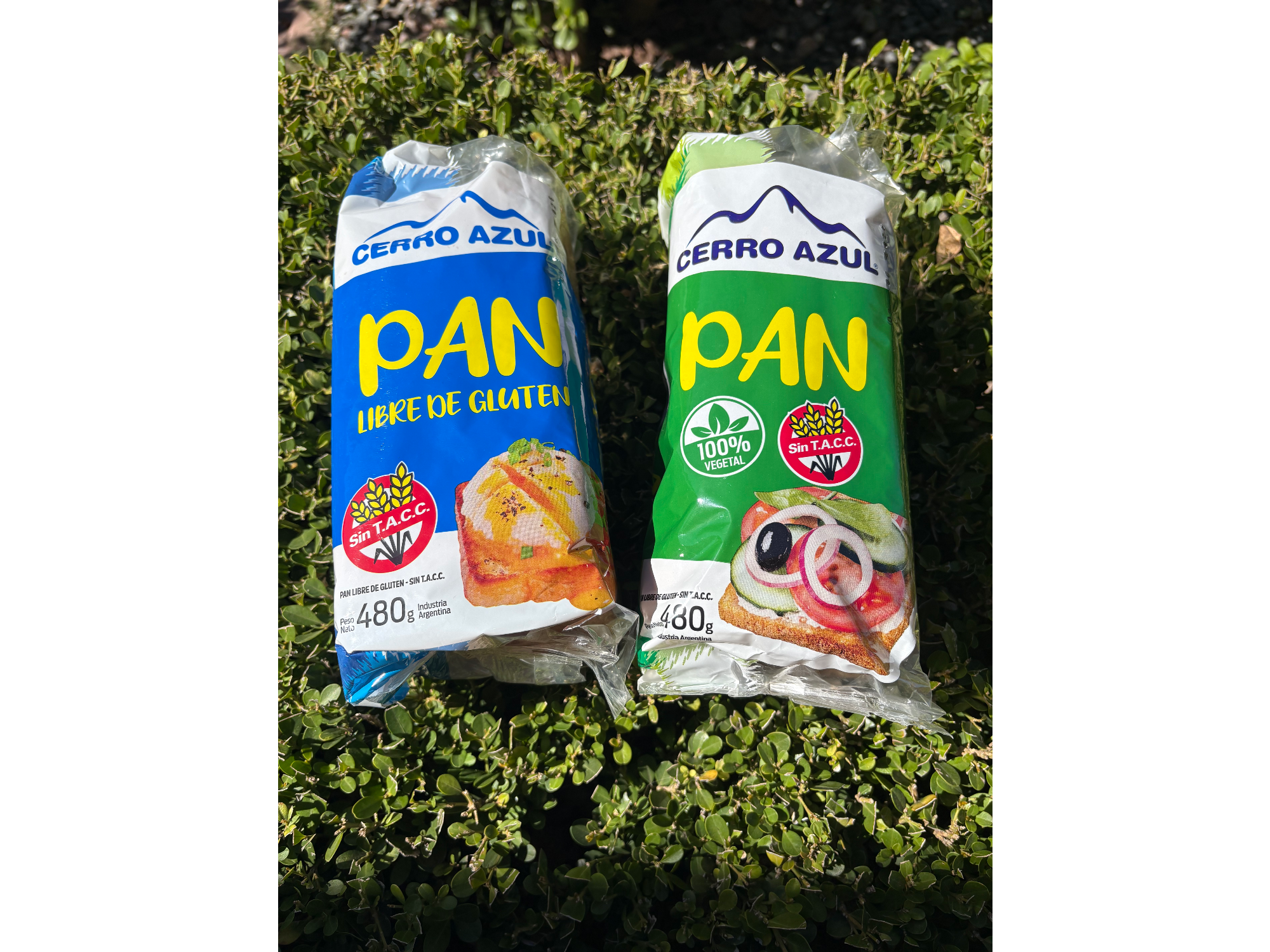 Pan de molde sin gluten