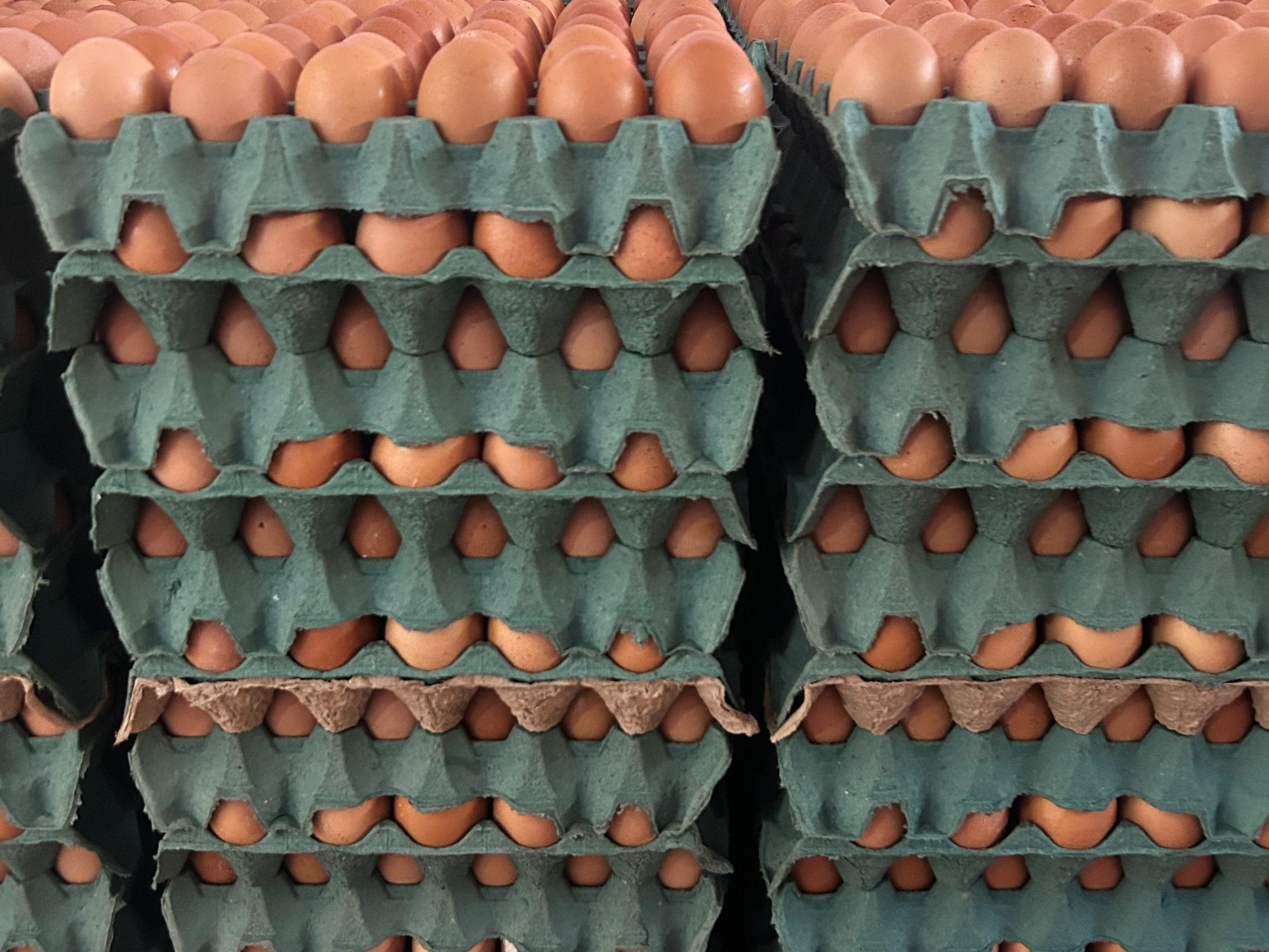 Cajon mediano color 2.0kg