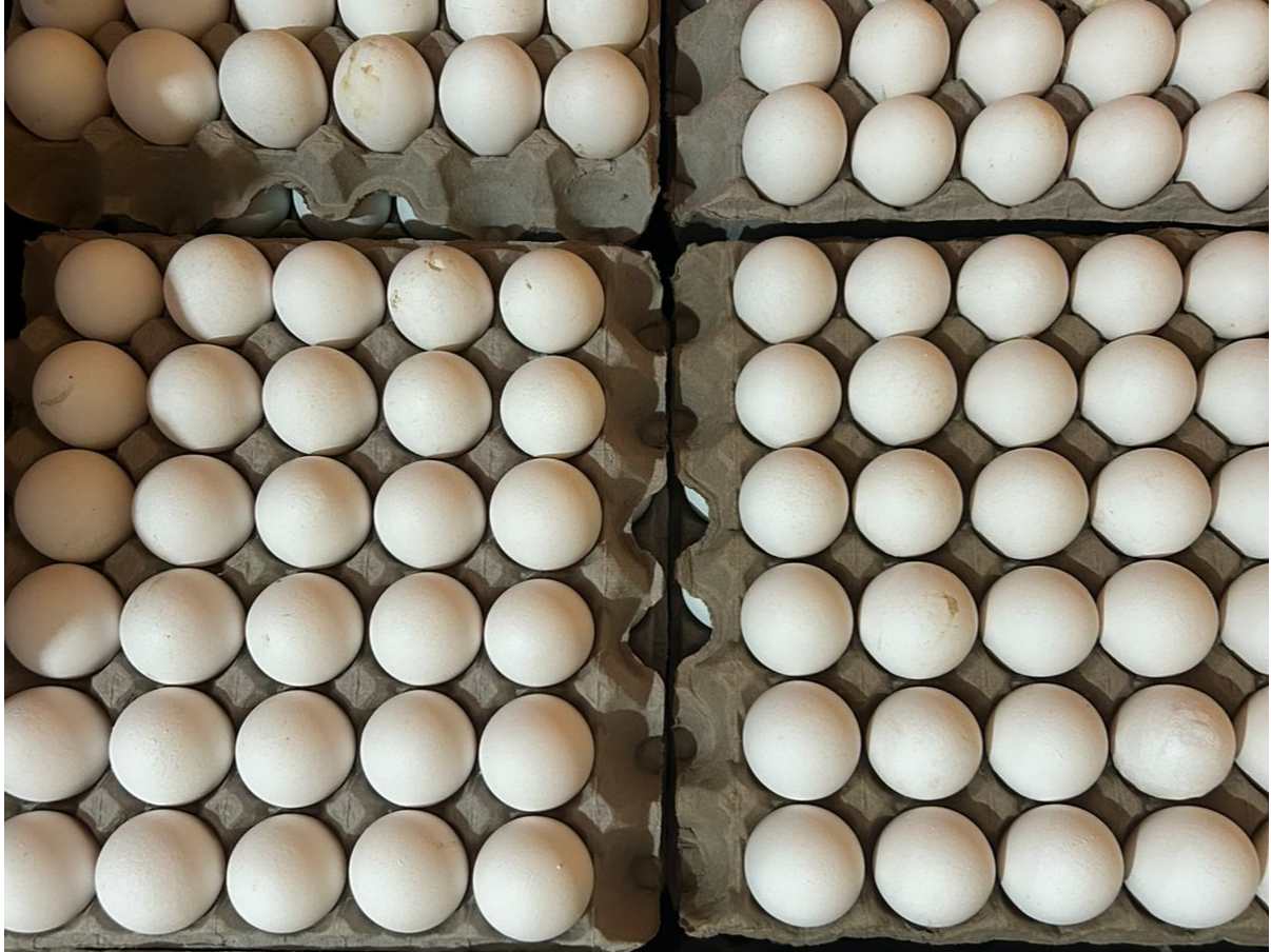 Cajon mediano blanco 2.0kg