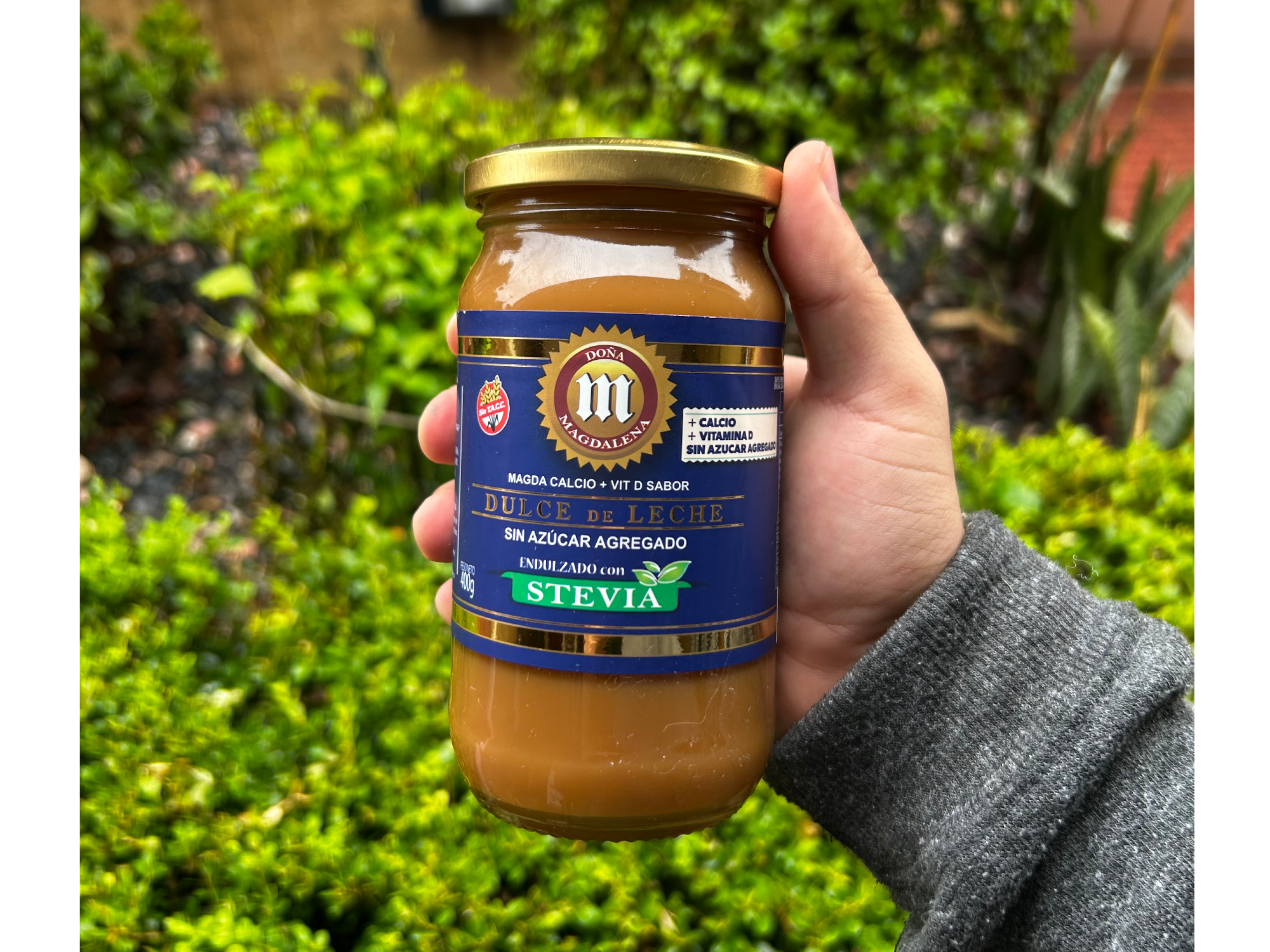 Dulce de leche con stevia