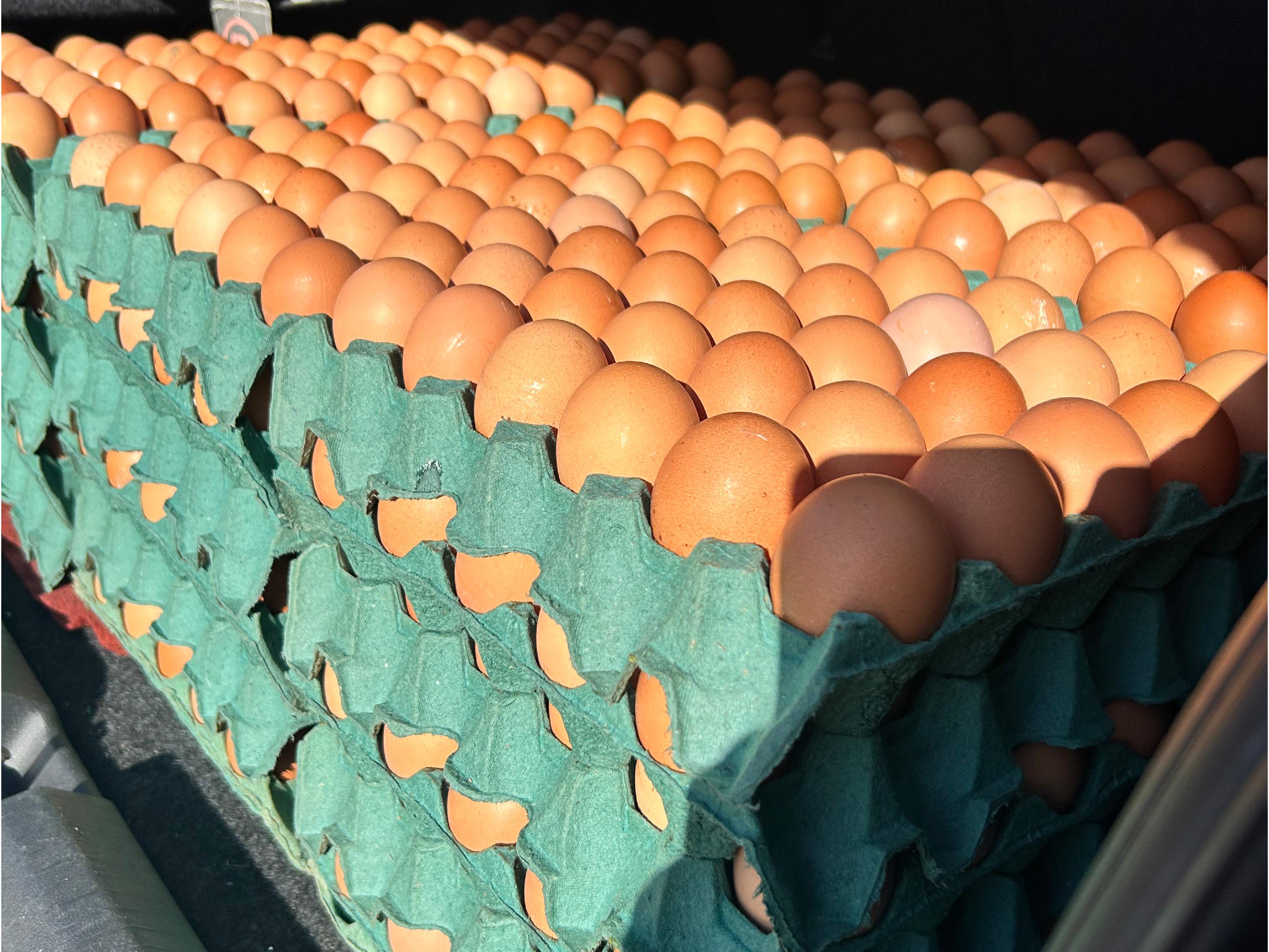 Huevos mediano 2.0kg