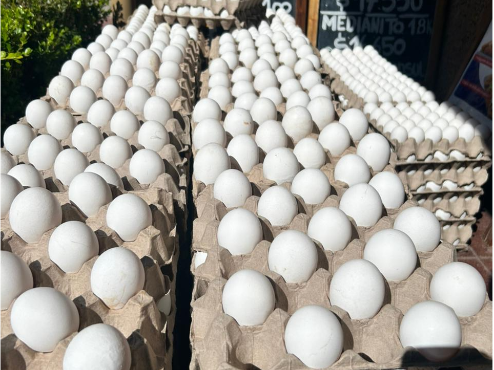 Cajon extras grandes blanco