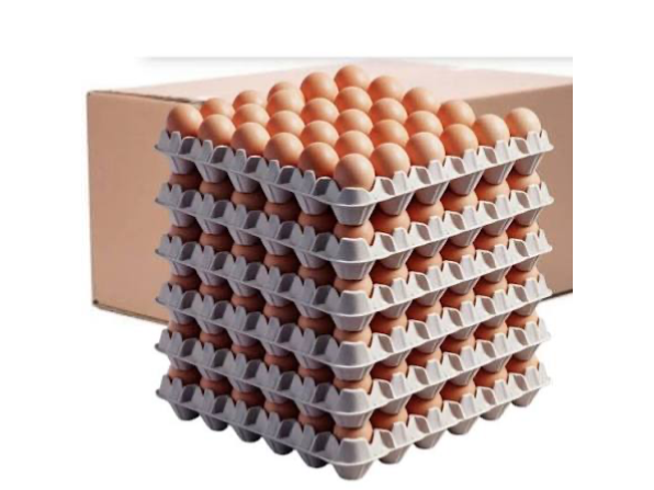 Cajon mediano color 2.0kg