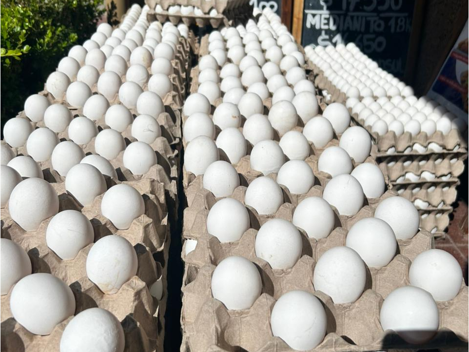 Cajon extra grandes blancos
