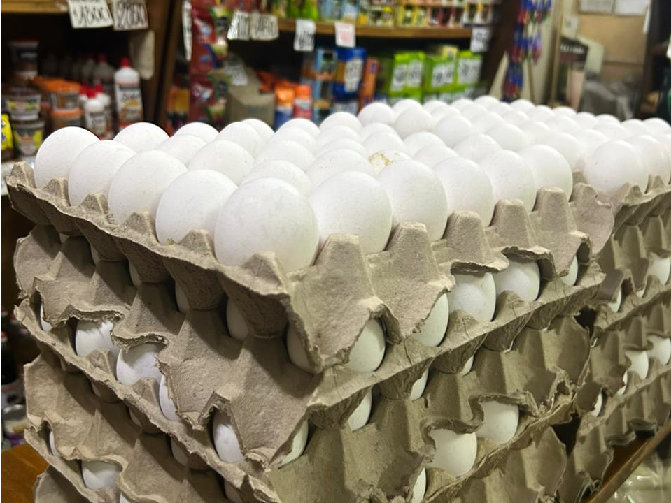 Cajon mediano blanco 2.0kg