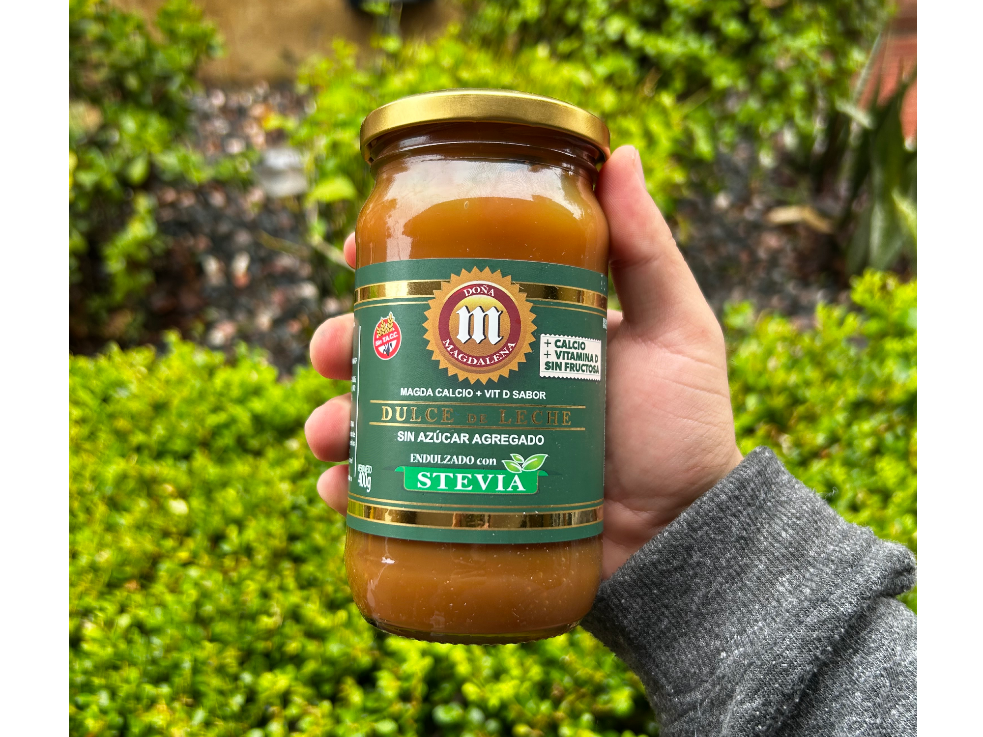 Dulce de leche sin fructuosa