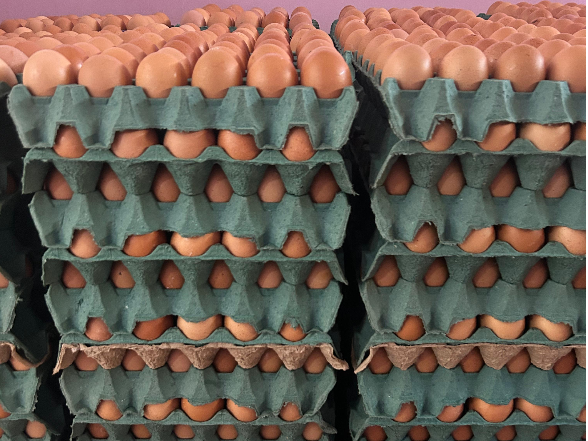 Huevos grandes 2.2kg