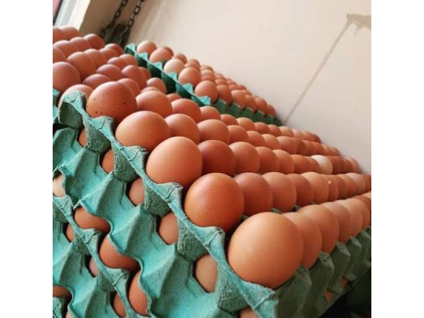 Huevos grandes 2.2kg
