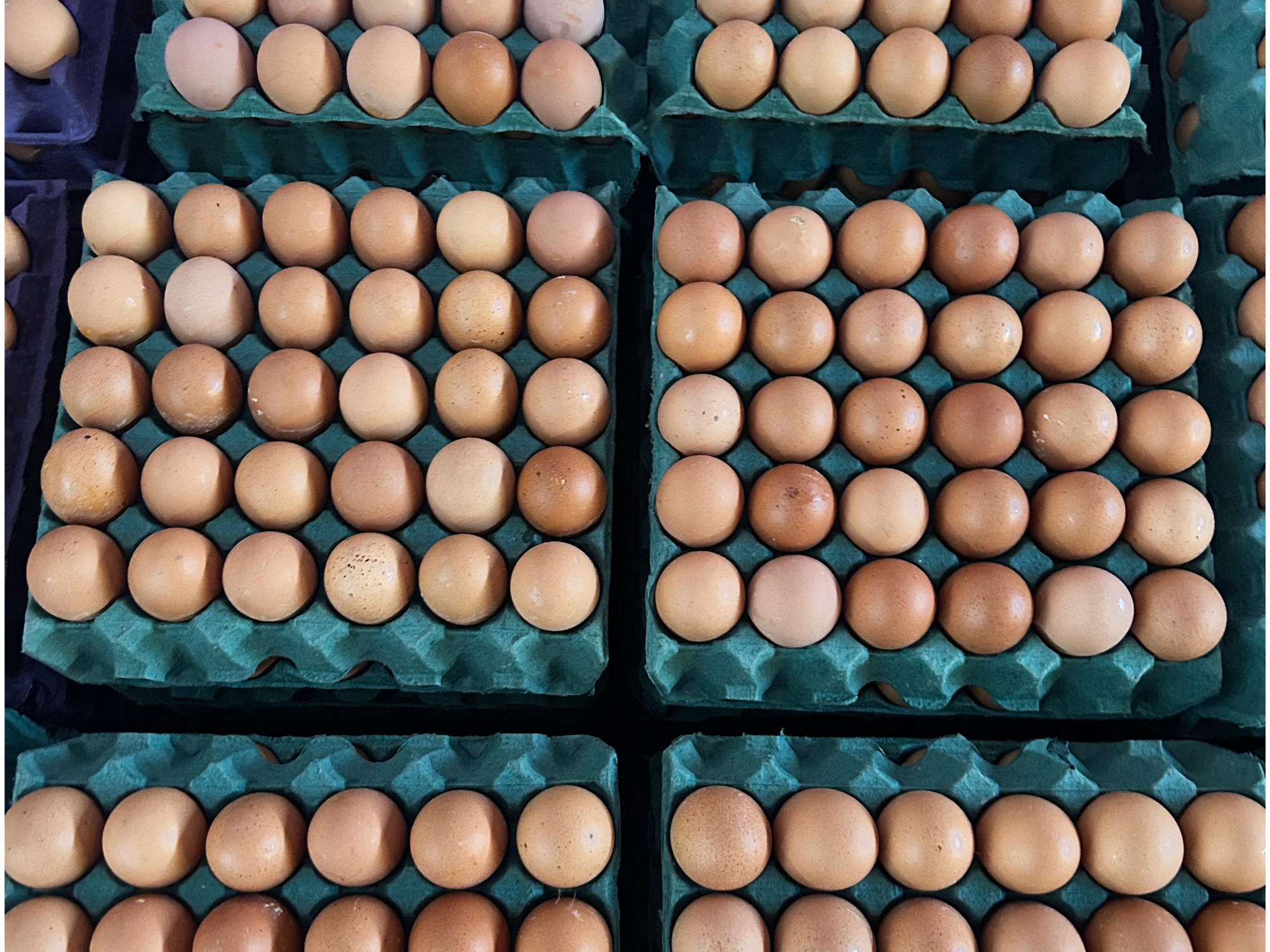 Cajon grande color 2.2kg