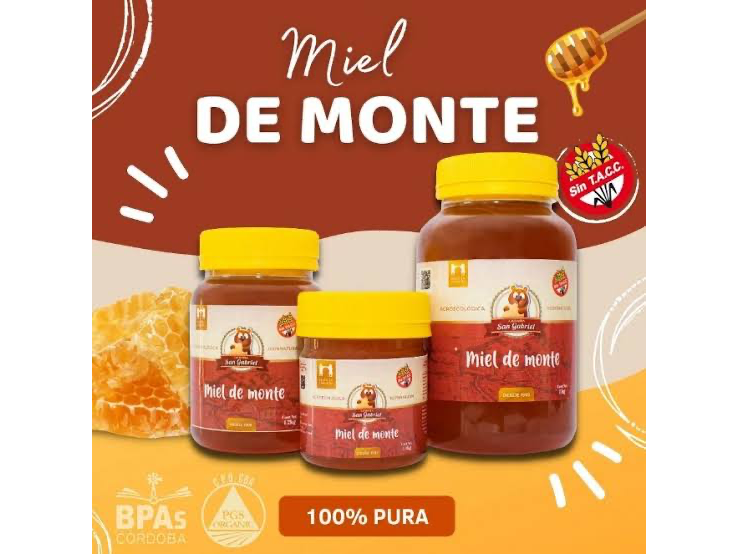 Miel pura de monte varios tamaños