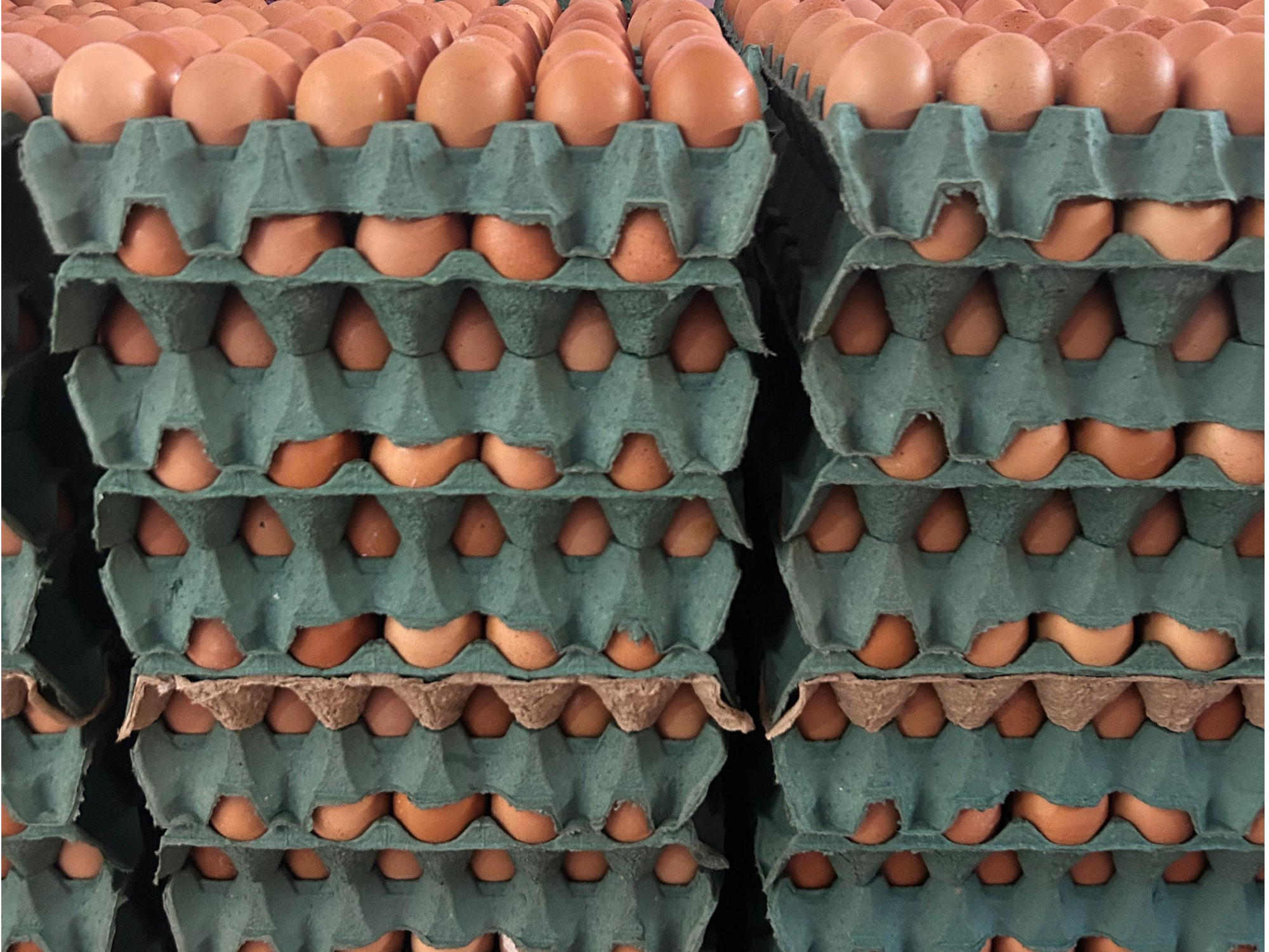 Cajon mediano color 2.0kg