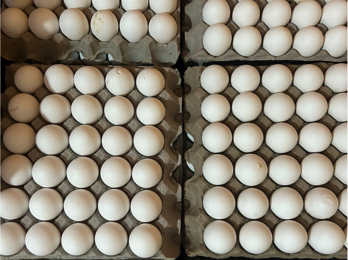 Huevos grandes 2.2kg