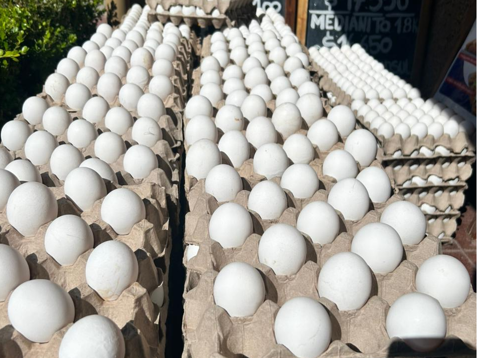 Huevos extras grandes