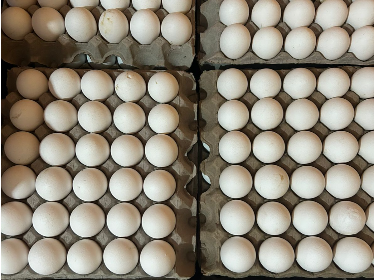 Huevos medianos 2.0kg