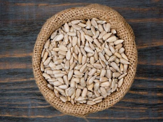 4002.00 SEMILLAS DE GIRASOL