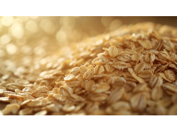 3001.00 AVENA INSTANTANEA