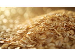 3001.00 AVENA INSTANTANEA