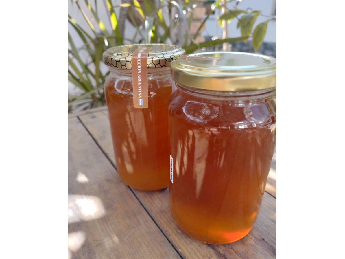 5004.00 MIEL AGROECOLOGICA 100% PURA