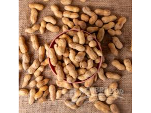 2007.00 MANI CON CASCARA