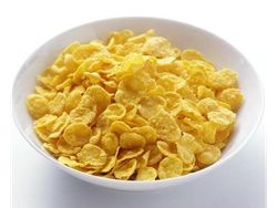 3004.00 COPOS DE MAIZ NATURALES