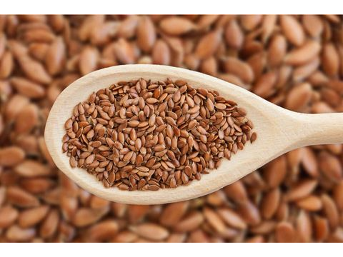 4004.00 SEMILLAS DE LINO