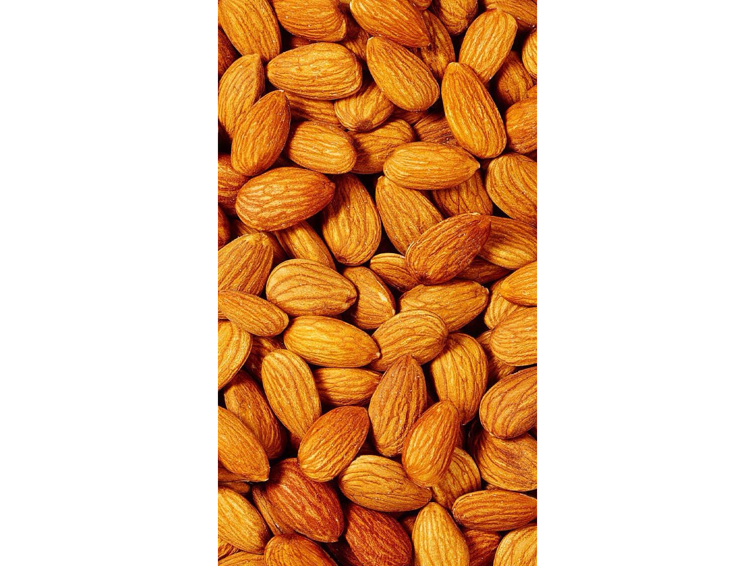 2002.00 ALMENDRAS NON PAREIL