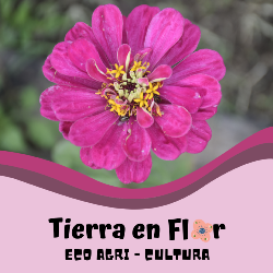 Logo de Tierra en Flor