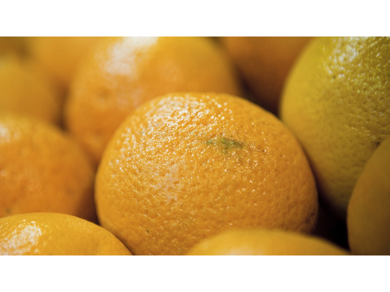 Naranja de jugo agroecologicas