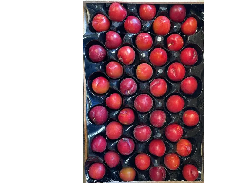 Ciruelas agroecologicas