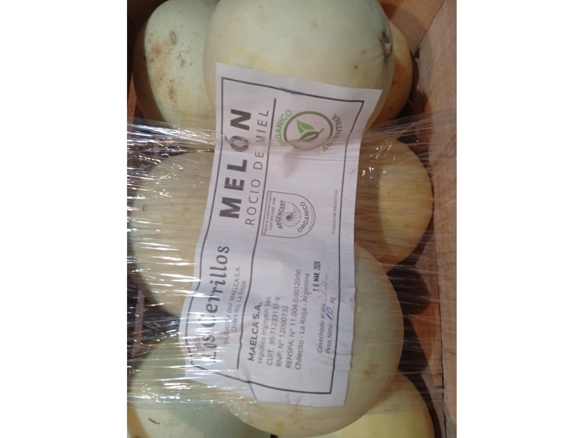 Melon Rocio de miel x Kg