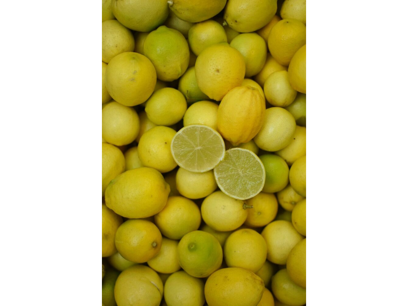 4 Limón Sutil