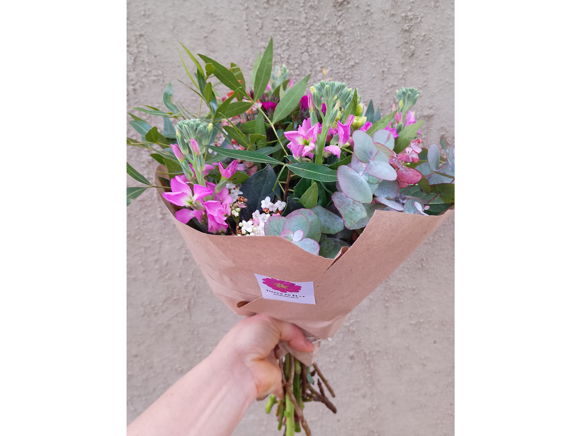 Ramo de flores frescas de estación de Tierra en Flor