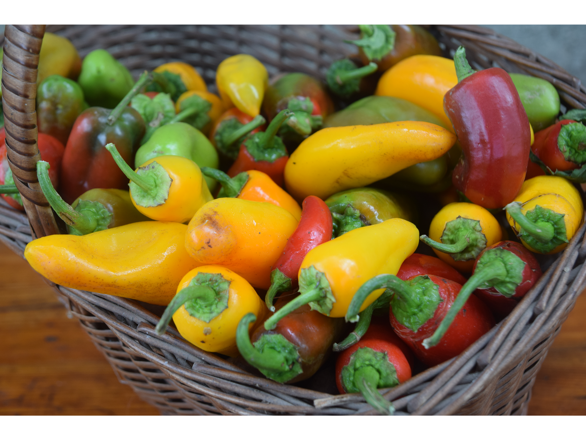 Variedades de pimientos y ajies dulces x 100 Grs