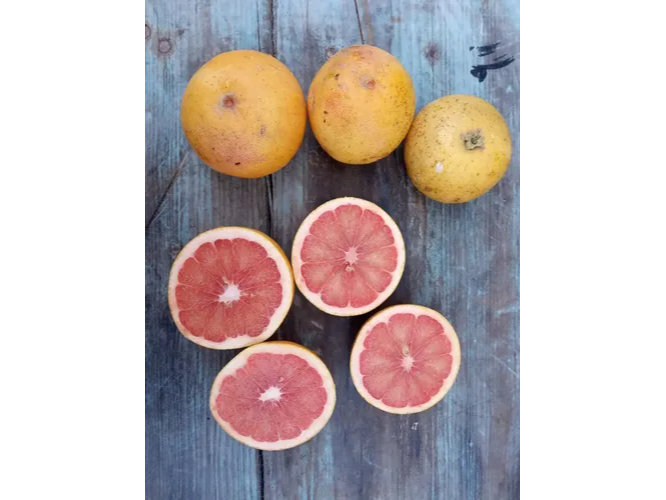 Pomelo amarillo Agroecologico