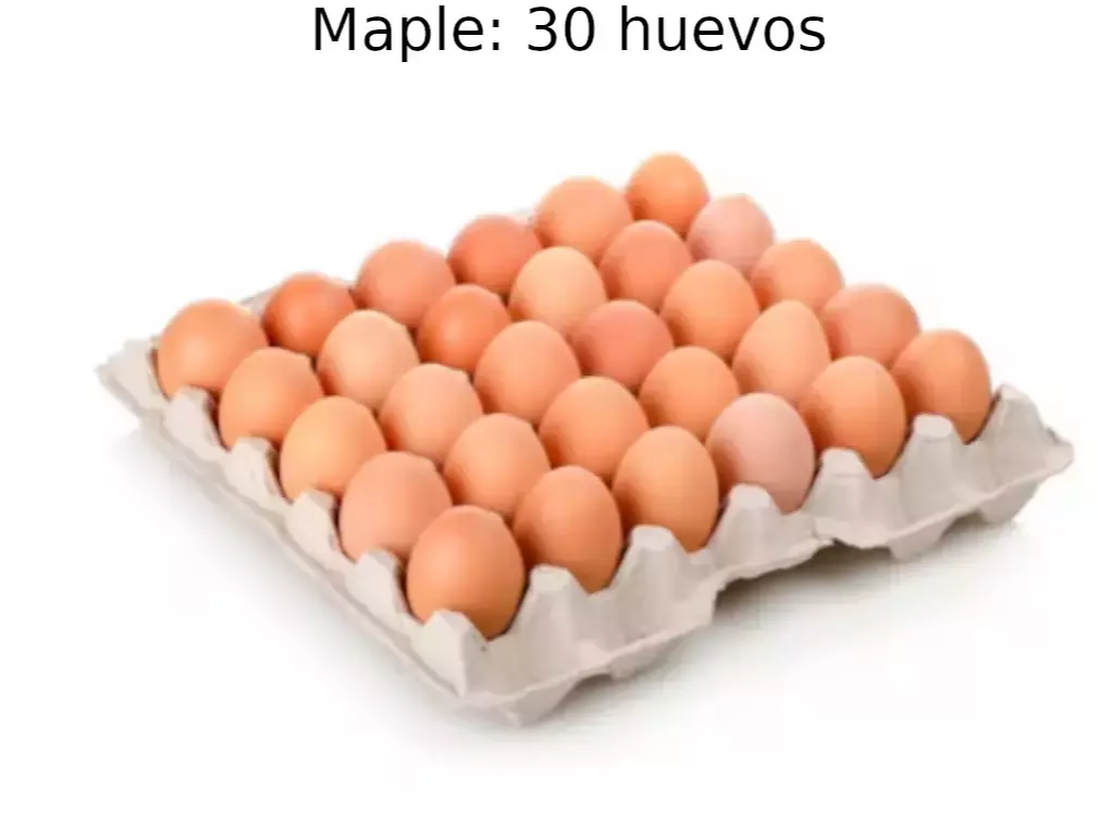 2 Maples huevos de campo medianos y chicos