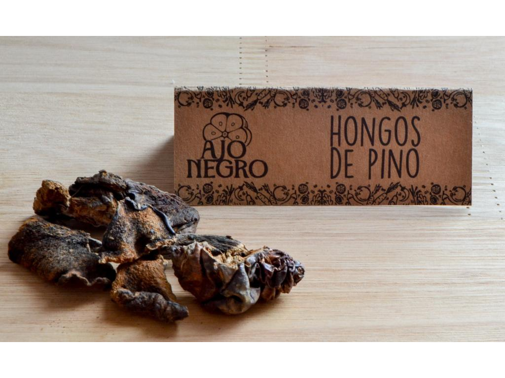 Hongos de Pino