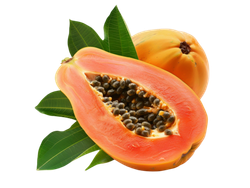 Papaya x unidad